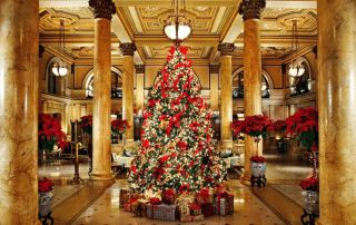 Festive season cleaning