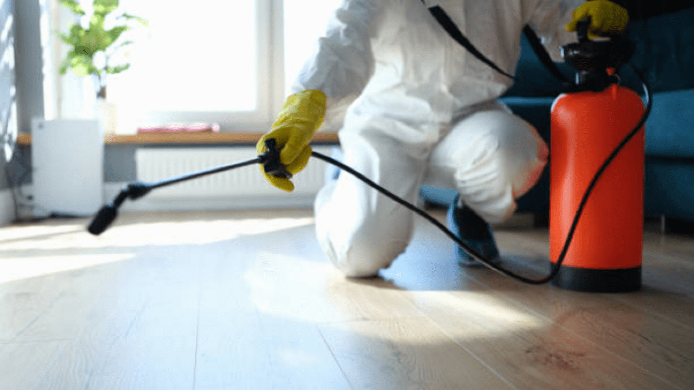Pest Prevention and Hygiene Guide