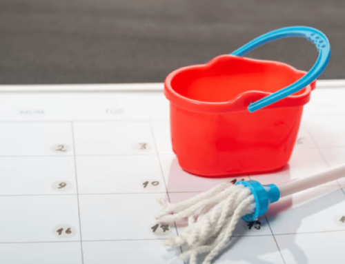 Key Benefits of Scheduled Cleaning vs. One-Off Services for Businesses & Schools