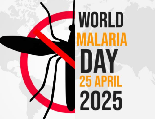 World Malaria Day 2025: How Pest Control and Hygiene Help Prevent Malaria